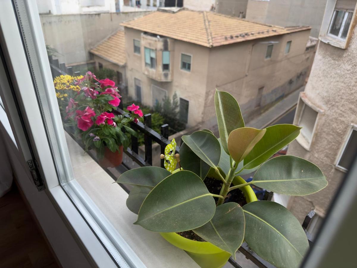 Antonio Apartments Alicante Ngoại thất bức ảnh